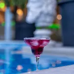 أرتونك بودروم