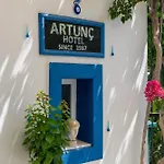 فندق أرتونك