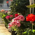 فندق أرتونك بودروم