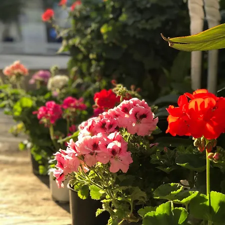 Hotell Artunc Bodrum