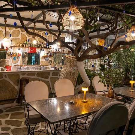 Artunc Bodrum