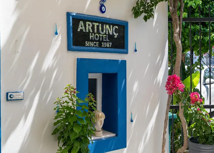 Hotel Artunc